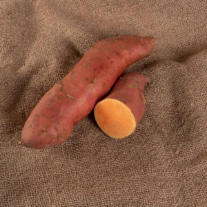 Sweet Potato Slip EA